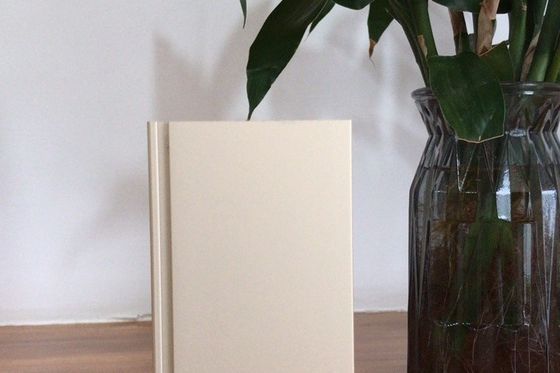 Línea de producción de Manunal Oxidación con una capacidad de suministro mensual de 900 toneladas