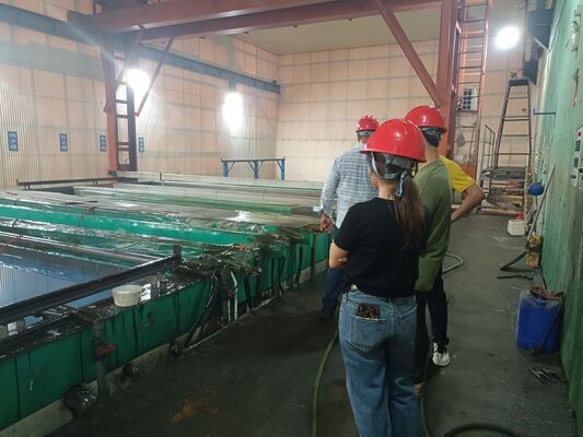 Buen precio Grúa aérea de elevación especial CDEY para línea de oxidación y anodizado de aluminio | Grúa móvil automática de taller de oxidación de doble viga personalizada para tratamiento de superficies de perfiles de aluminio en línea